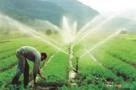 Manejo da Irrigação