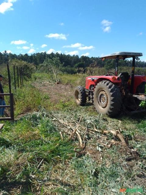 Imagem Trator Massey Ferguson 4275 4×4 – 2.400 h – Único Dono Imagem Trator Massey Ferguson 4275 4×4 – 2.400 h – Único Dono
