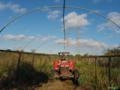 Trator Massey Ferguson 4275 4×4 – 2.400 h – Único Dono Imagem Trator Massey Ferguson 4275 4×4 – 2.400 h – Único Dono
