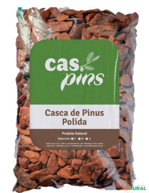 Casca de Pinus Polida Imagem Casca de Pinus Polida