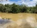 FAZENDA FORMADA EM CRISTALINA! 83 HECTARES! ACEITA IMÓVEL DF.