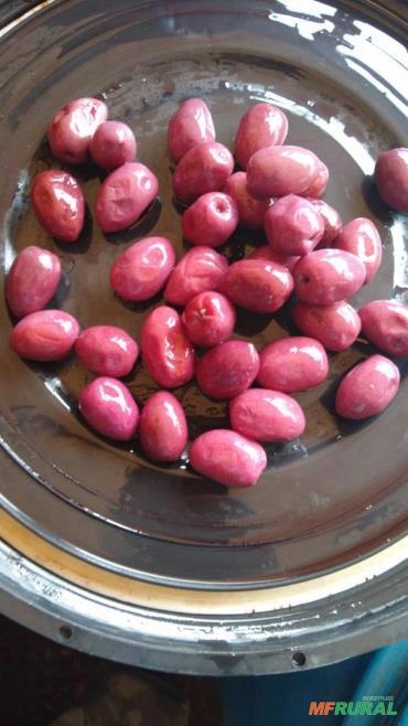 Imagem Azeitonas em conserva Imagem Azeitonas em conserva