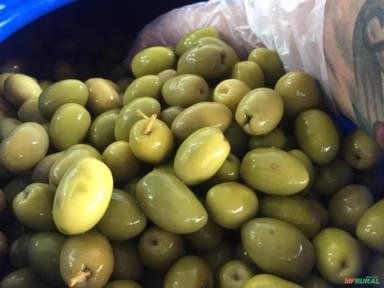 Imagem Azeitonas em conserva Imagem Azeitonas em conserva