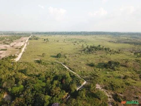 FAZENDA A VENDA EM VITÓRIA DO XINGU - PA