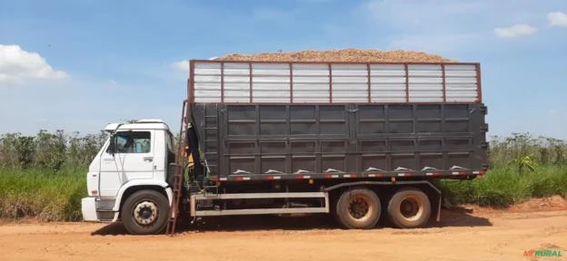 Caminhão Volkswagen VW 23-220 CAÇAMBA AGRÍCOLA