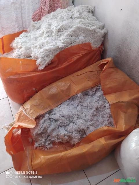 Compro fibras de Poliéster Imagem Compro fibras de Poliéster