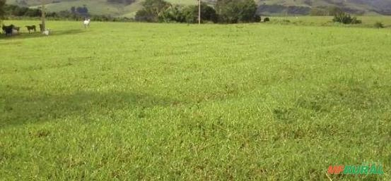 PROCURO SITIO PARA ARRENDAR ATE 10,0 ALQUEIRES Imagem PROCURO SITIO PARA ARRENDAR ATE 10,0 ALQUEIRES
