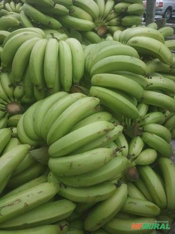 Vendo banana Imagem Vendo banana