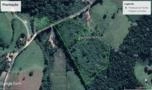 Plantação de Palmeira real com cerca de 50 mil pés. Imagem Plantação de Palmeira real com cerca de 50 mil pés.