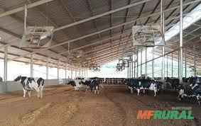 Fazenda com sistema para vacas de leite em Maravilha SC
