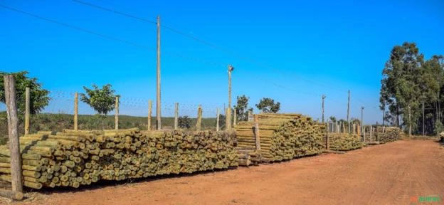 Imagem Madeira Tratada Eucalipto Imagem Madeira Tratada Eucalipto