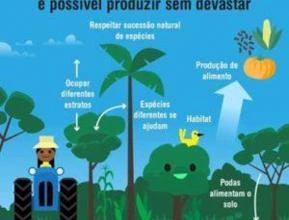 Projeto AgroFloresta