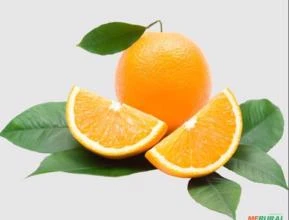 Dlimoneno (Terpeno de laranja)