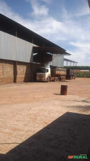 Imagem Esterco de Galinha Imagem Esterco de Galinha