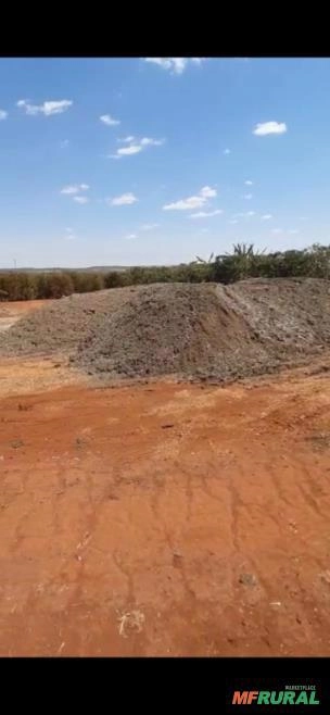 Esterco de Galinha Imagem Esterco de Galinha