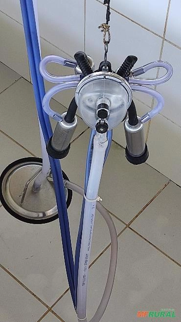 Imagem ORDENHA REAFRIO GOLD Imagem ORDENHA REAFRIO GOLD