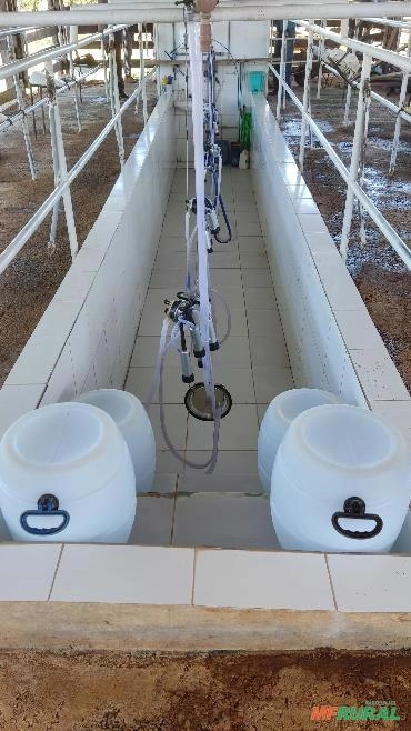 Imagem ORDENHA REAFRIO GOLD Imagem ORDENHA REAFRIO GOLD