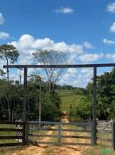 Fazenda |146ha | Rio Branco-AC