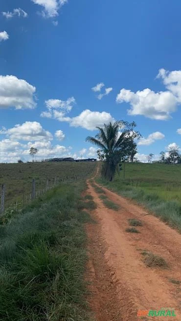 Fazenda |146ha | Rio Branco-AC
