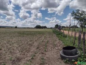 Vende-se um terreno medindo 25 tarefas/Hectares no Mauriti Ceará