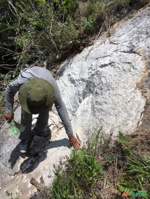 Jazida de Granito Imagem Jazida de Granito