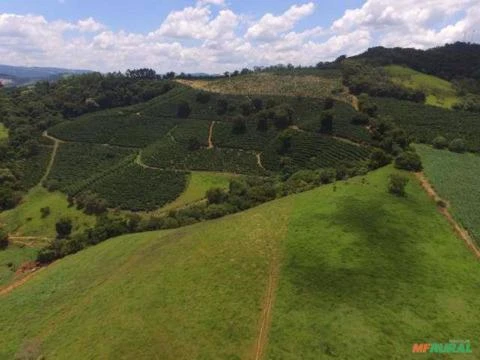 Linda Fazenda À Venda No Município De Cambuquira-MG