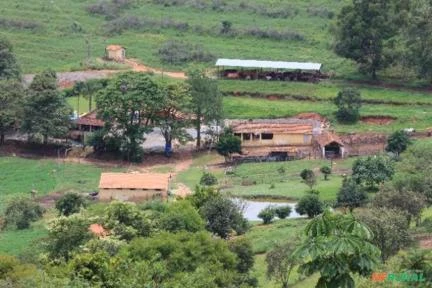 Linda Fazenda À Venda No Município De Cambuquira-MG