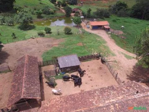 Linda Fazenda À Venda No Município De Cambuquira-MG