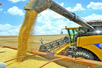 Imagem Busco Parceria Com Produtores De Soja Exportação Ao Mercado Asiático Imagem Busco Parceria Com Produtores De Soja Exportação Ao Mercado Asiático