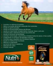 Suplemento mineral para cavalos