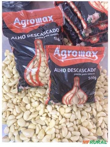 Alho Descascado Imagem Alho Descascado