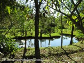 Sitio com 8 alqueires para haras, ovinos ou bovinos, ou laser