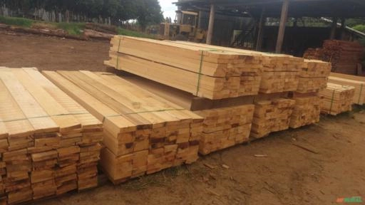 Compro Madeira de Pinheiro Imagem Compro Madeira de Pinheiro