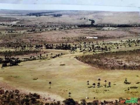 Fazenda bruta no oeste baiano. Imagem Fazenda bruta no oeste baiano.
