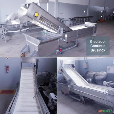 GLACIADOR CONTINUO BRUSINOX PARA PEIXES Imagem GLACIADOR CONTINUO BRUSINOX PARA PEIXES