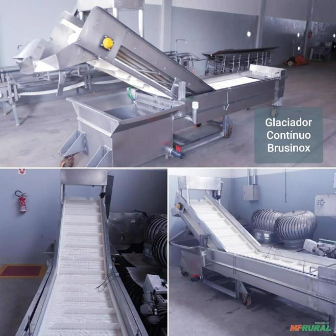GLACIADOR CONTINUO BRUSINOX PARA PEIXES Imagem GLACIADOR CONTINUO BRUSINOX PARA PEIXES