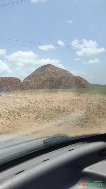 Casca de coco seco (catemba,quengo) Imagem Casca de coco seco (catemba,quengo)