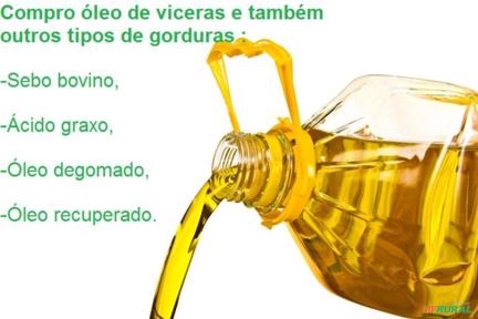 Compro óleo de viceras de frango Imagem Compro óleo de viceras de frango