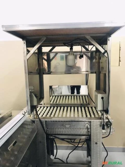 Máquina processadora de ovos