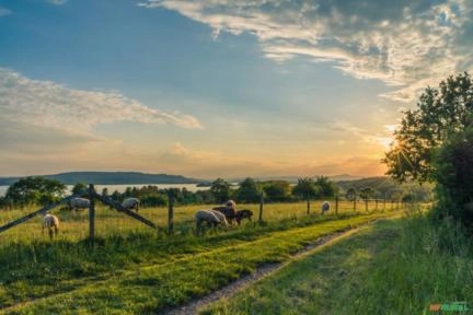 COMPRO FAZENDA Imagem COMPRO FAZENDA