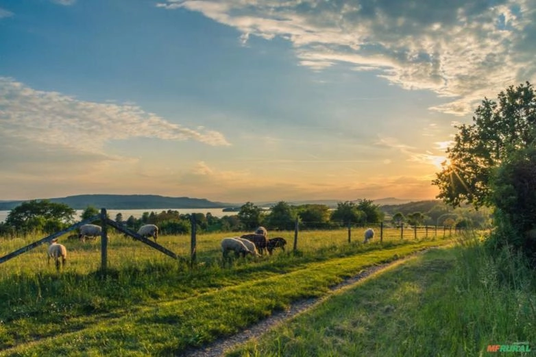 COMPRO FAZENDA Imagem COMPRO FAZENDA