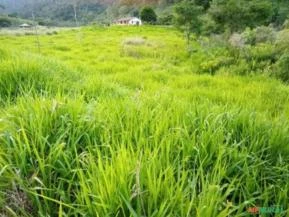 Fazenda para dupla apetidão Agricula, Pecuaria e inclusive garimpo de Pedras Agua Marine