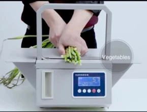 Mini Cintadeira para Frutas Legumes e Verduras (FLV}