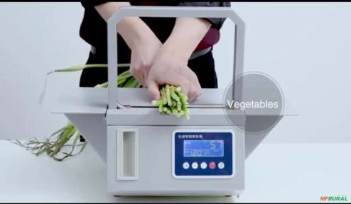 Mini Cintadeira para Frutas Legumes e Verduras (FLV}