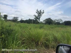 Fazenda Pecuaria