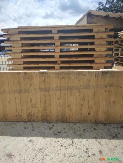 Pallet de Pinus