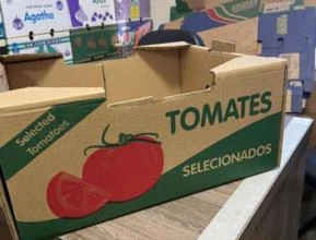 Caixa de tomate reforçada 20 kg