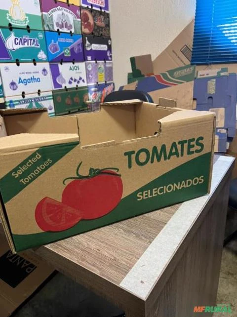 Caixa de tomate reforçada 20 kg