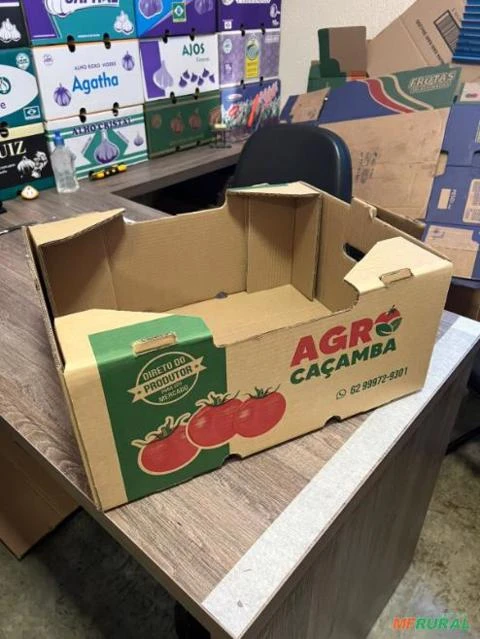 Caixa de tomate 20 kg