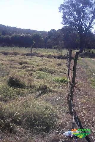 Sítio de 8,47 hectares, com água a 5 km de São Carlos-SP